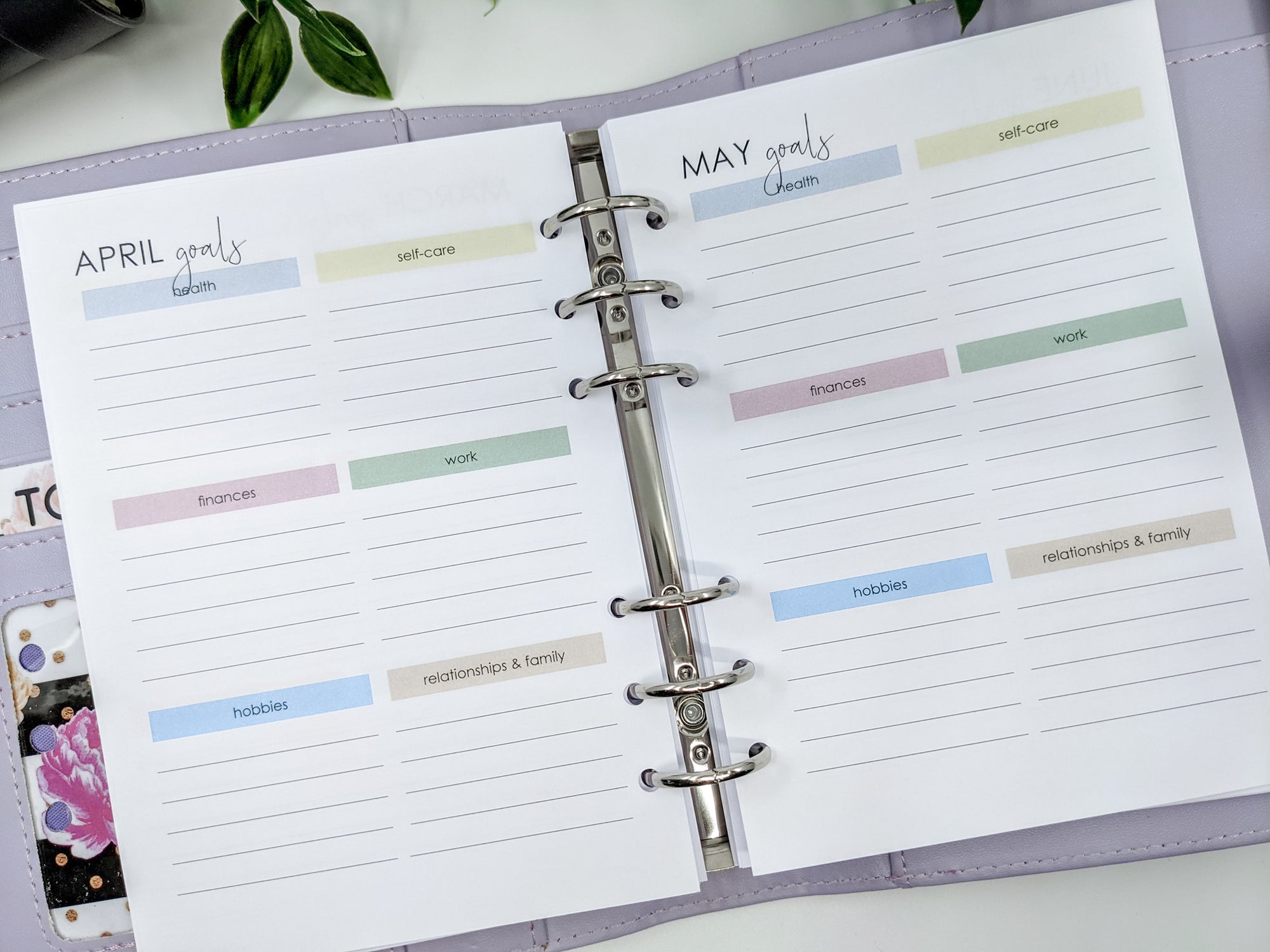 Goal Planner Inserts for b6 planners