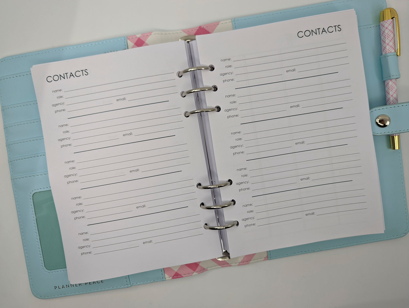 NDIS Disability Support Worker Planner by Planner Peace Australia