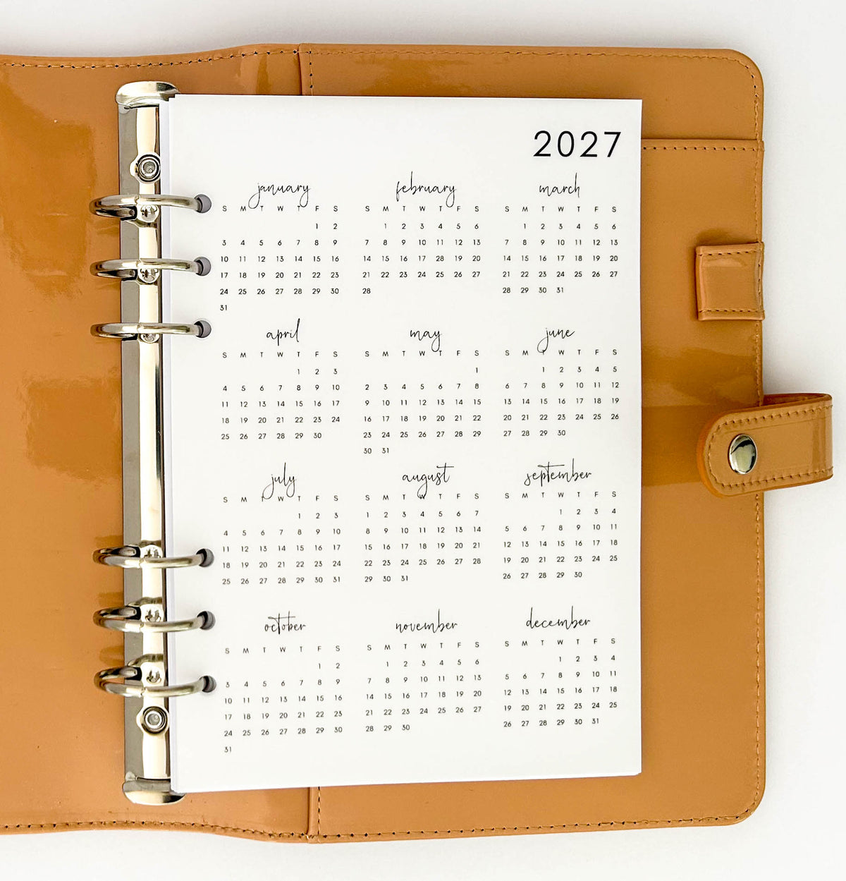 2026 or 2027 Yearly Overview Planner Dashboard VELLUM/TRANSPARENT