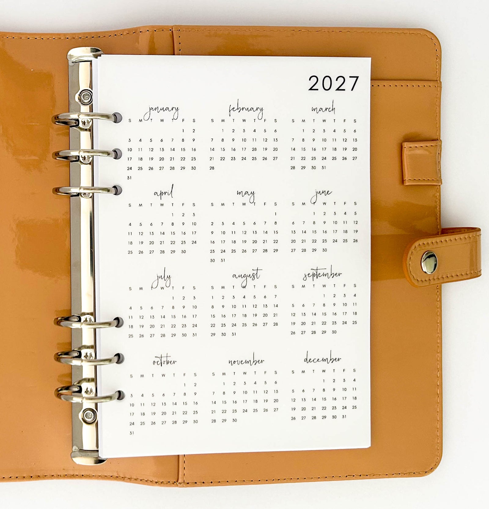 2026 or 2027 Yearly Overview Planner Dashboard VELLUM/TRANSPARENT