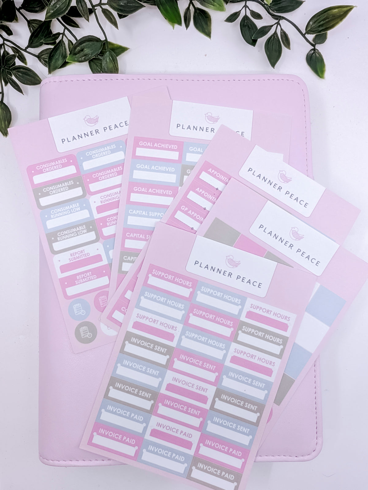 Planner Peace Sticker Sheet Pack - NDIS - 5 sheets