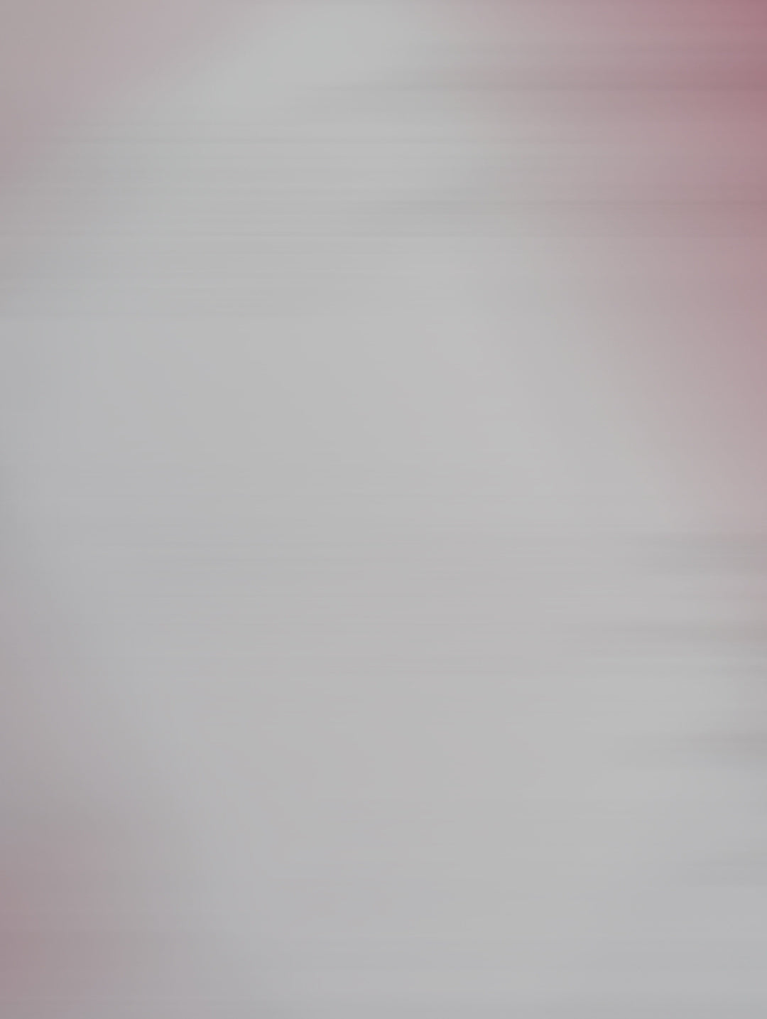 Business Planner Bundle - Planner and Dividers included