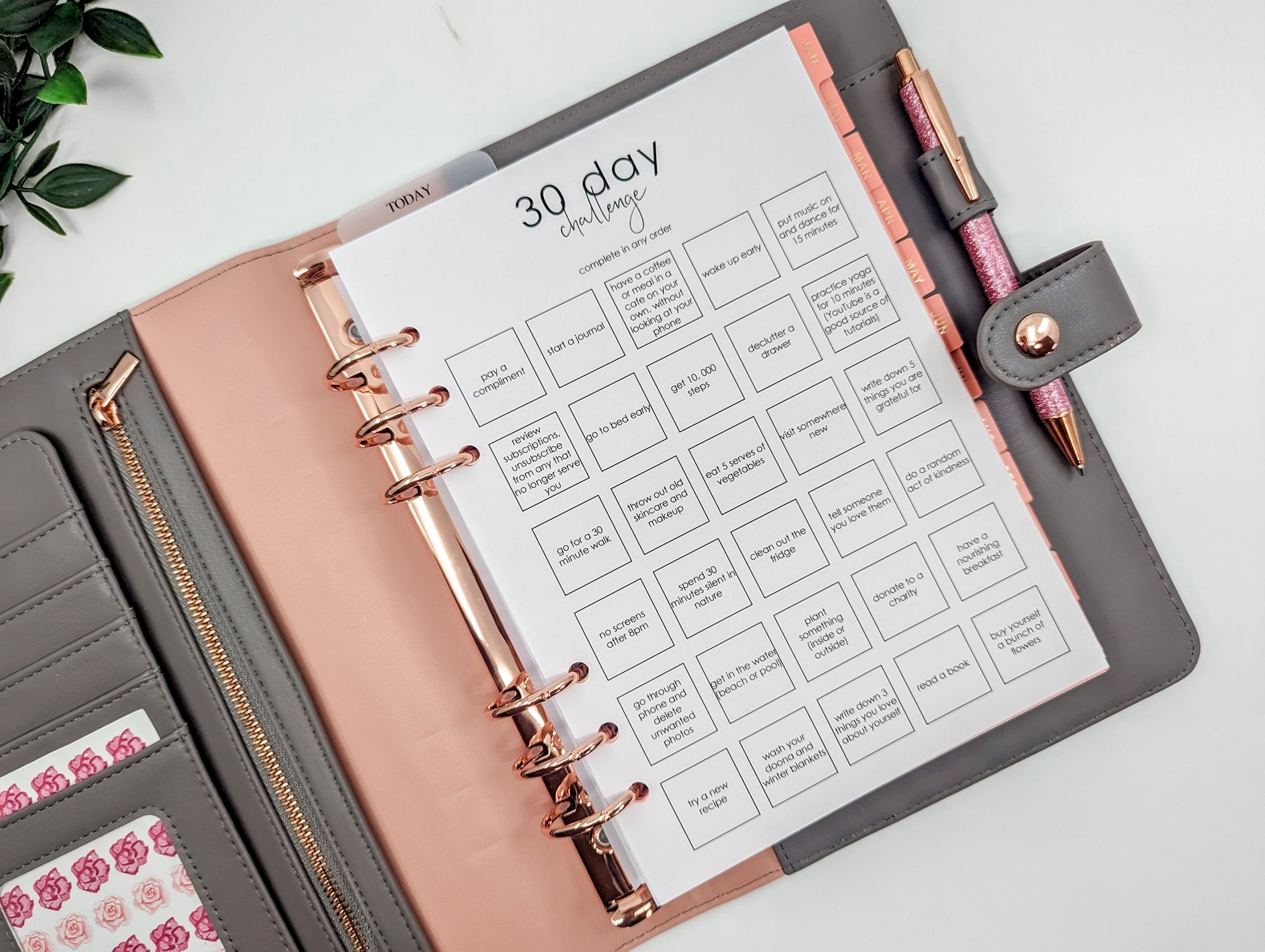 30 day challenge planner inserts for A5 ring planners