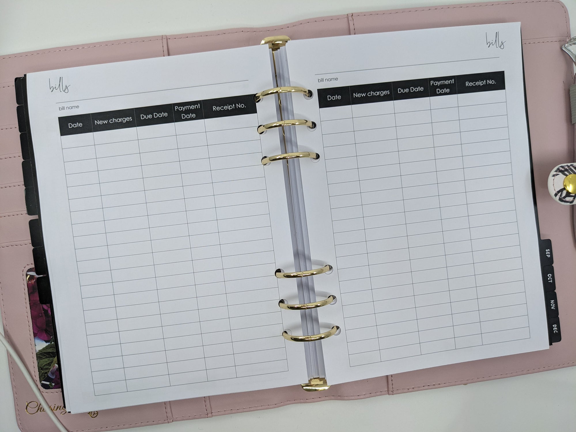 A5 bill tracking planner inserts for Planner Peace A5 planners and other 6 ring binders