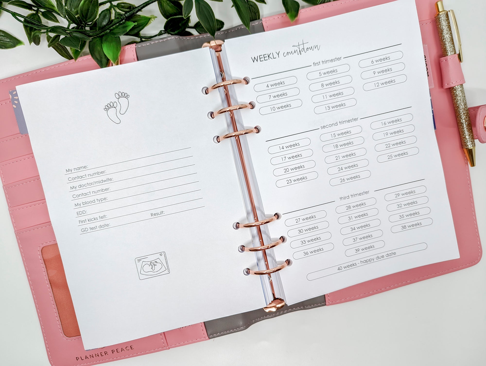 A5 pregnancy planner inserts