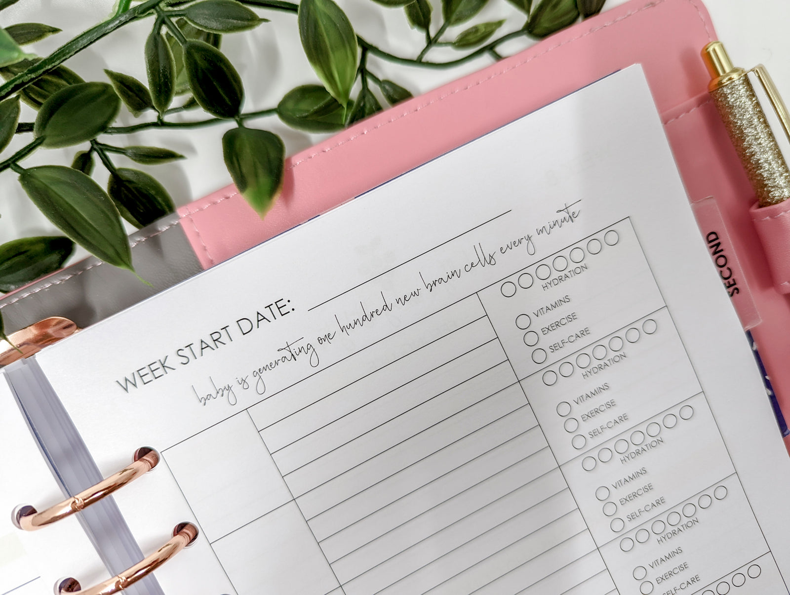 Pregnancy inserts for Planner Peace