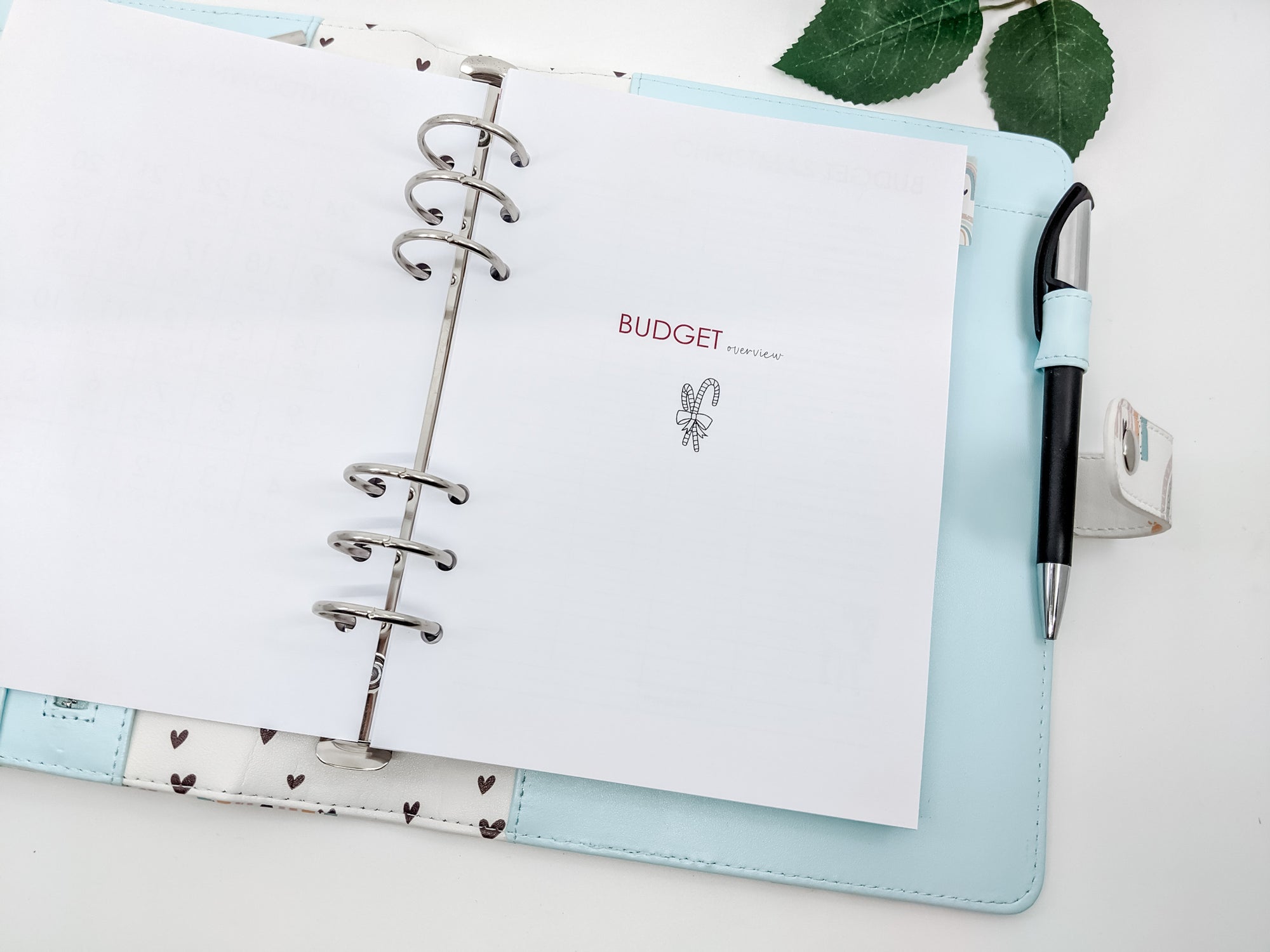 A5 Budget Overview planner inserts