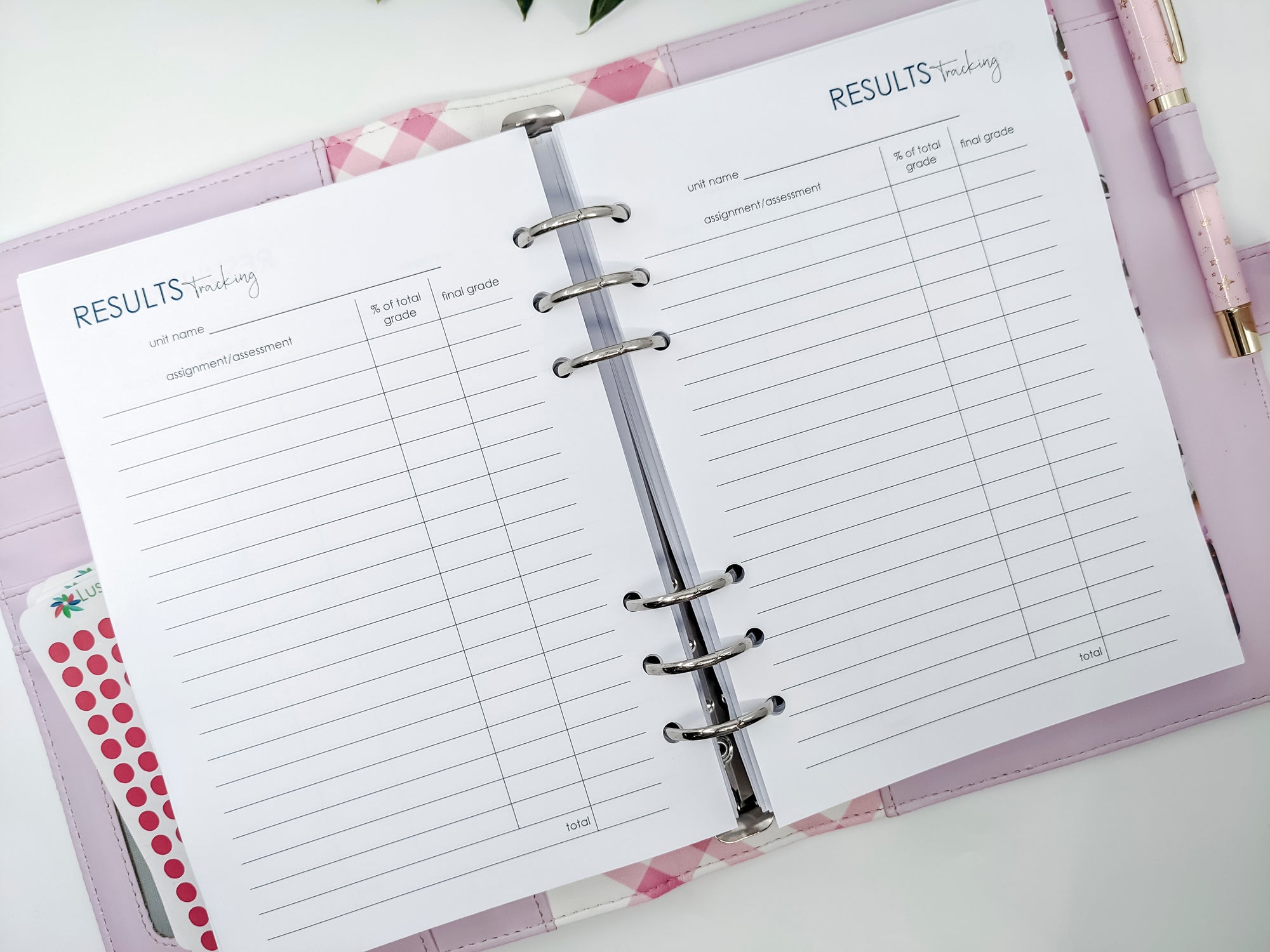 This study planner contains planner, dividers, weekly and monthly diary and more