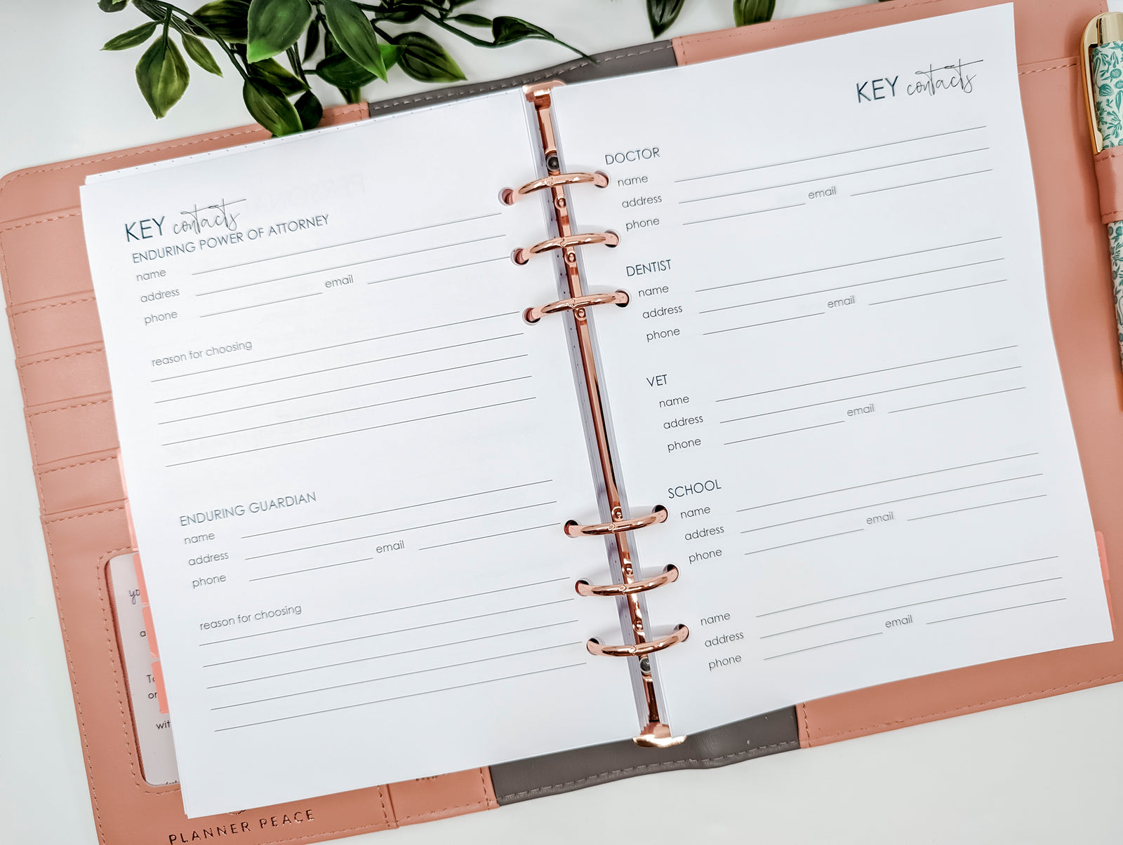 Power of Attorney planner inserts